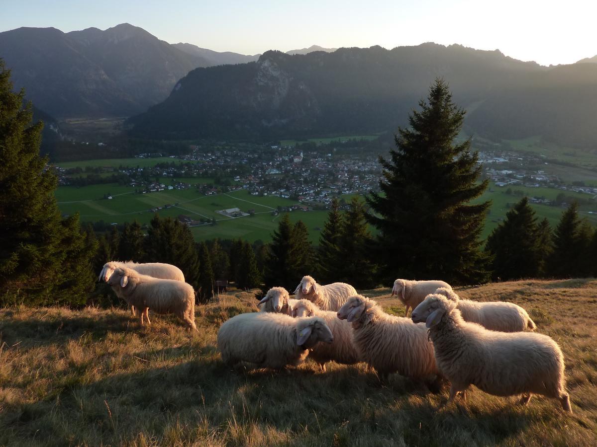 City Apartment Oberammergau Luaran gambar